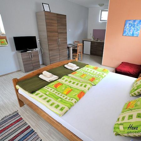 Apartments Svetlica バチキ・ペトロヴァツ エクステリア 写真