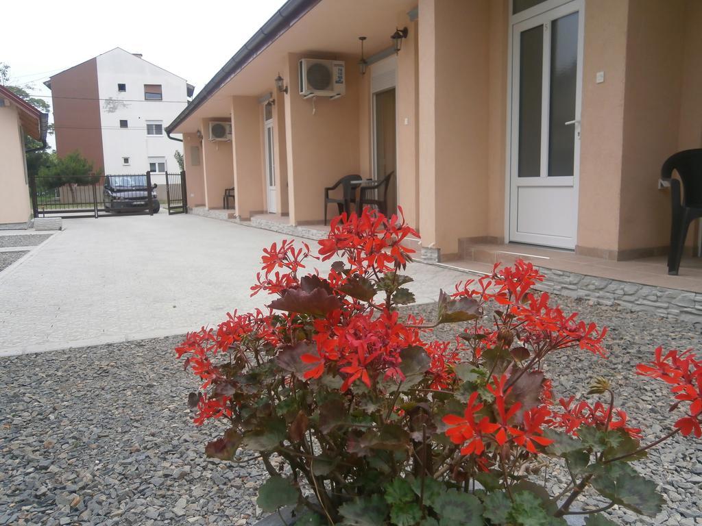 Apartments Svetlica バチキ・ペトロヴァツ エクステリア 写真